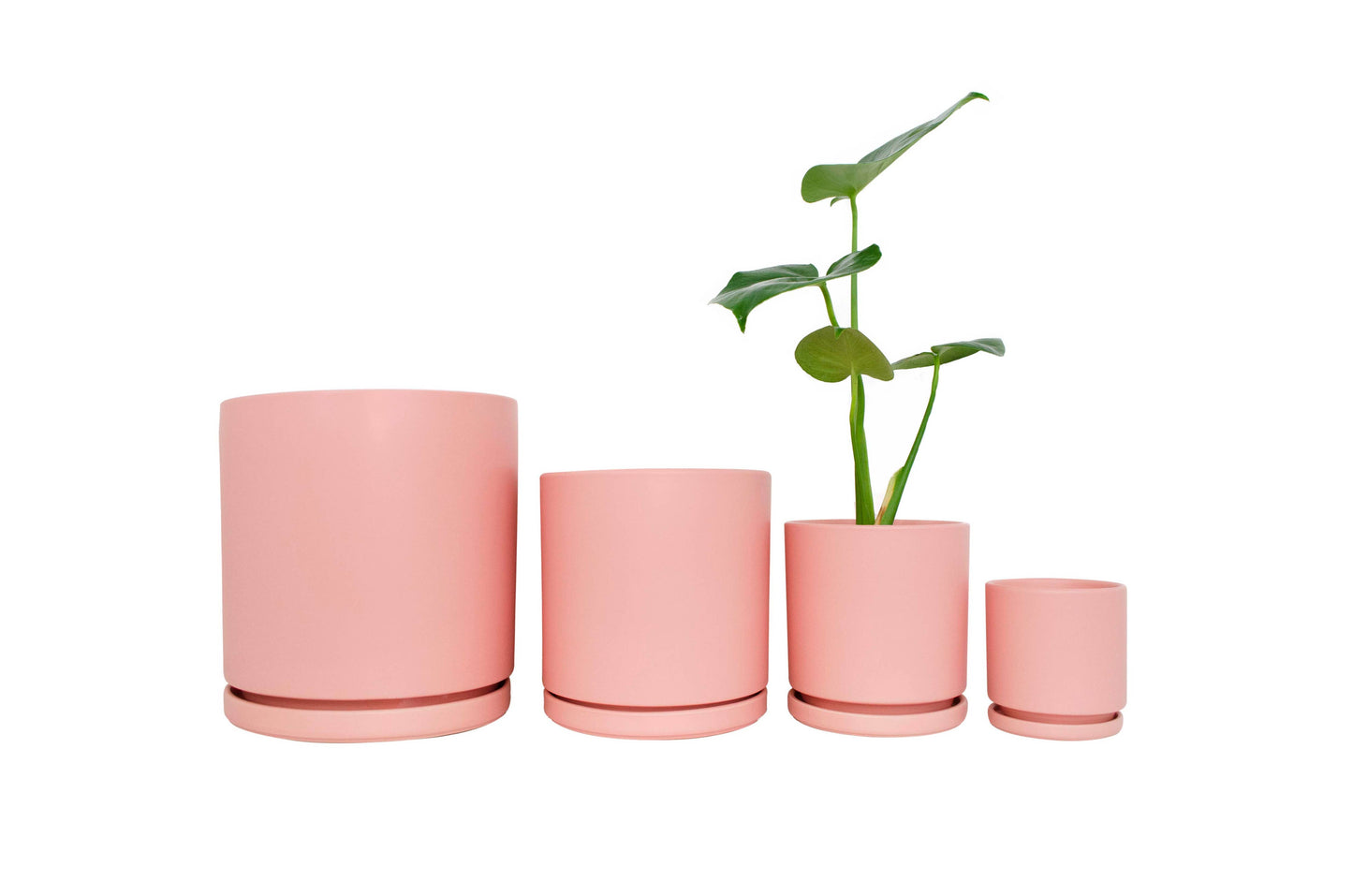 10.5" Gemstone Cylinder Pots with Water Saucers