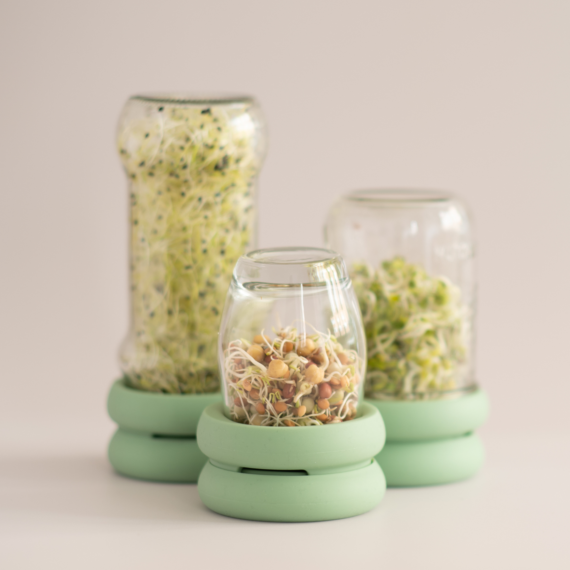 lejoy garden seed sprouter Sprout Hugger – Cultivate Jax