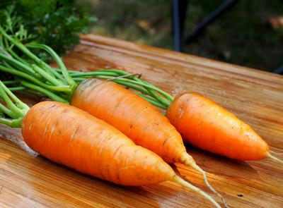 Chantenay Red Core Carrots