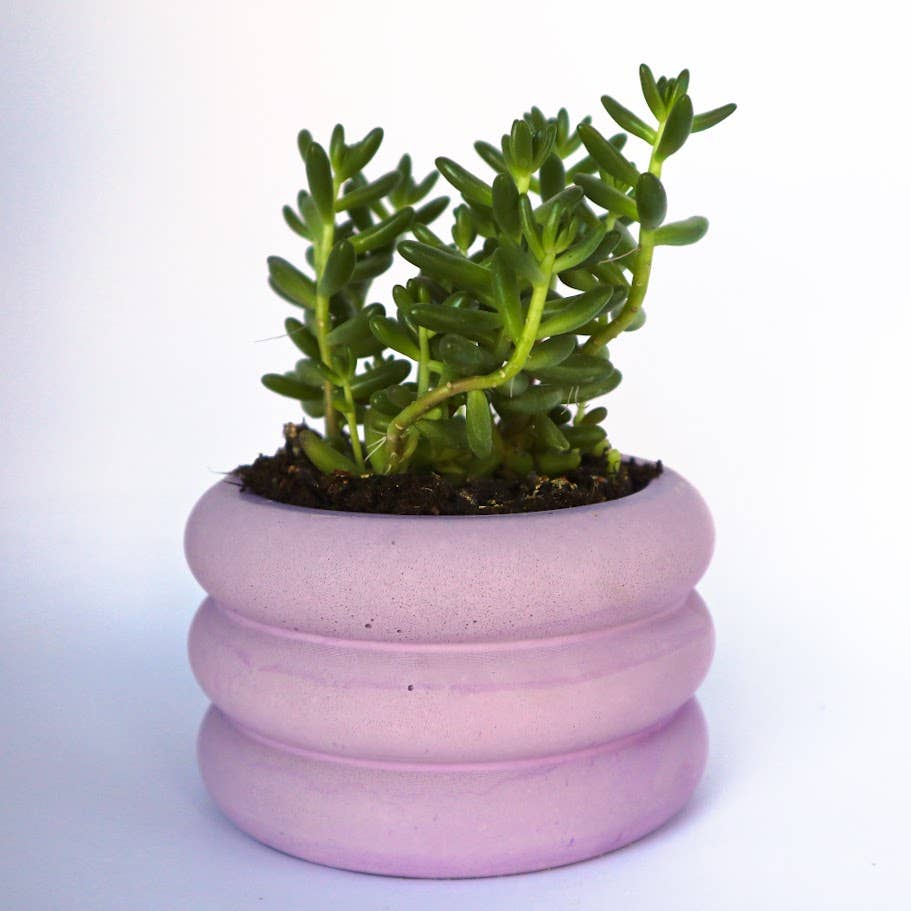Bubble Planter - 4" | Concrete Modern Planter