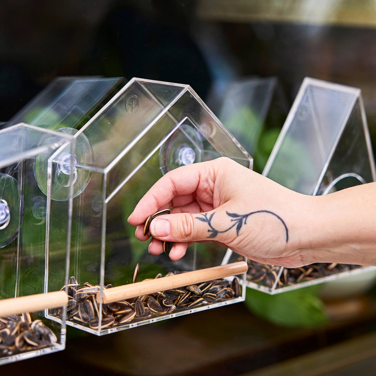 Birds on the Block | Bird Feeders