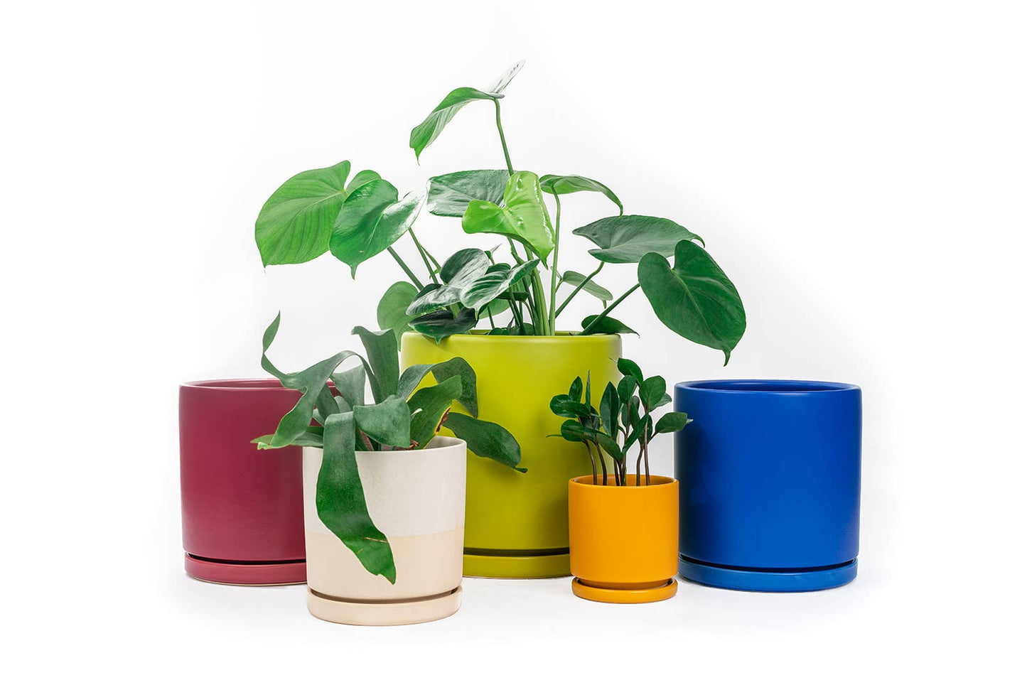 4.5" Gemstone Cylinder Pots with Water Saucers