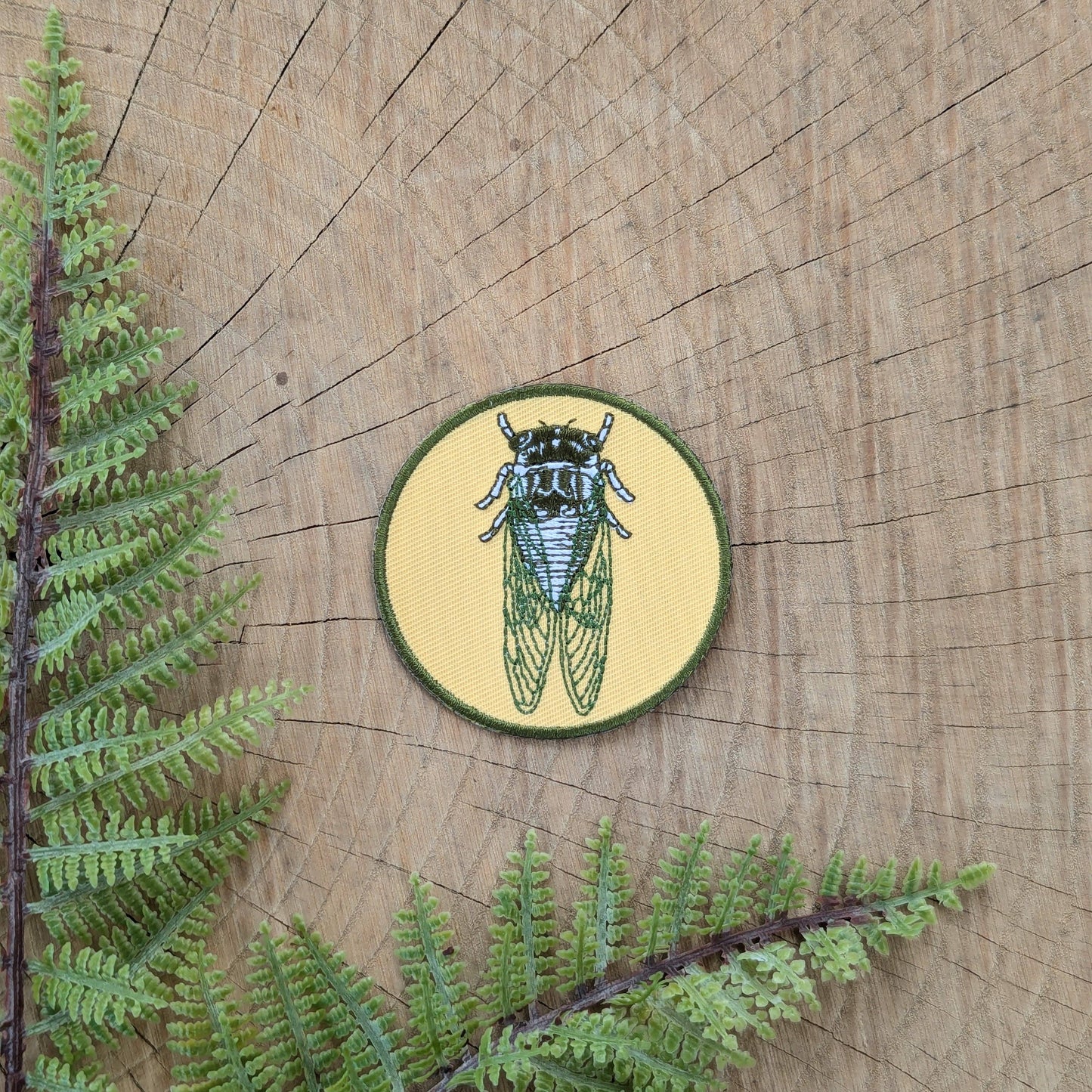 Iron-on patch | cicada - 2.5" round
