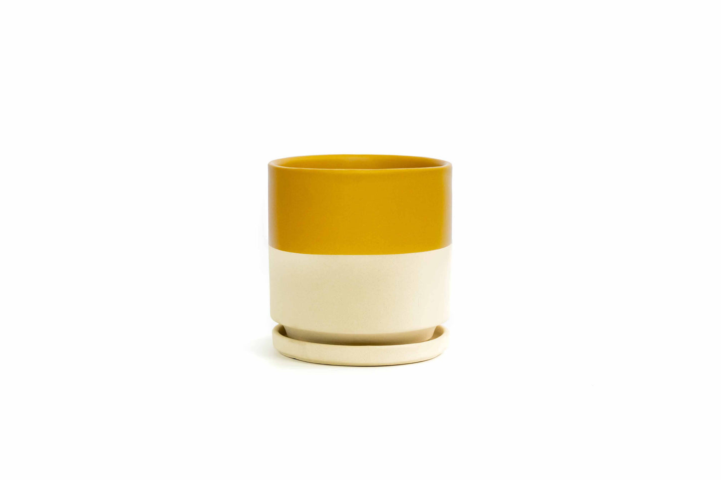 10.5" Gemstone Cylinder Pots with Water Saucers