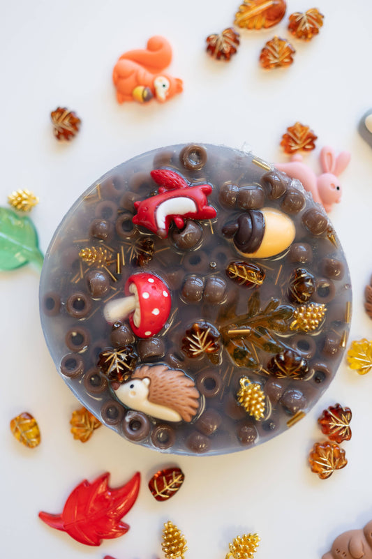 Woodland Theme, Picking Pad, Fidget Toy