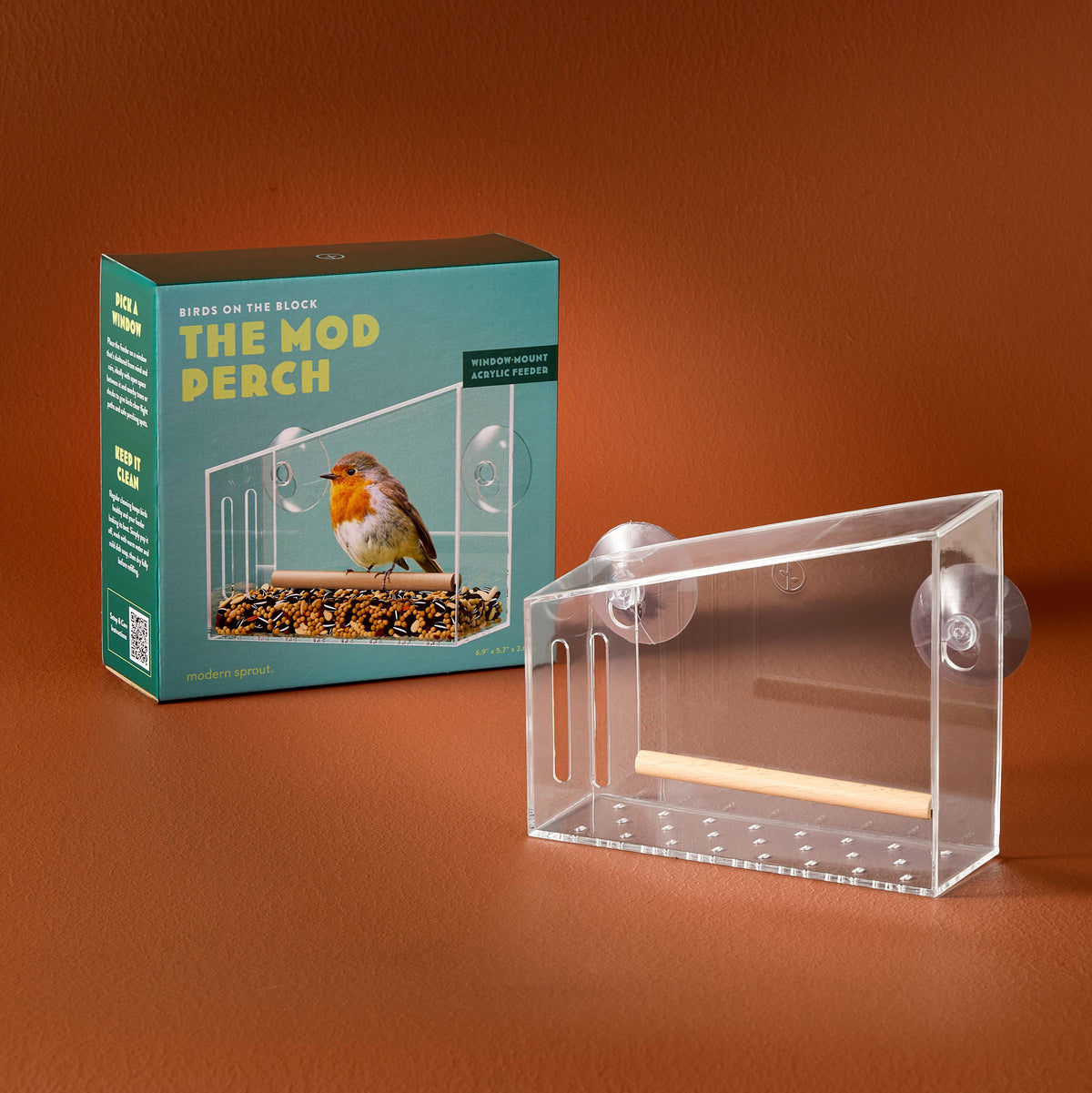 Birds on the Block | Bird Feeders