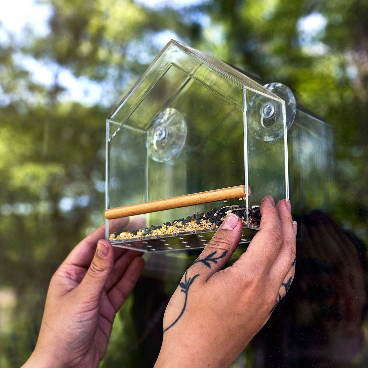 Birds on the Block | Bird Feeders