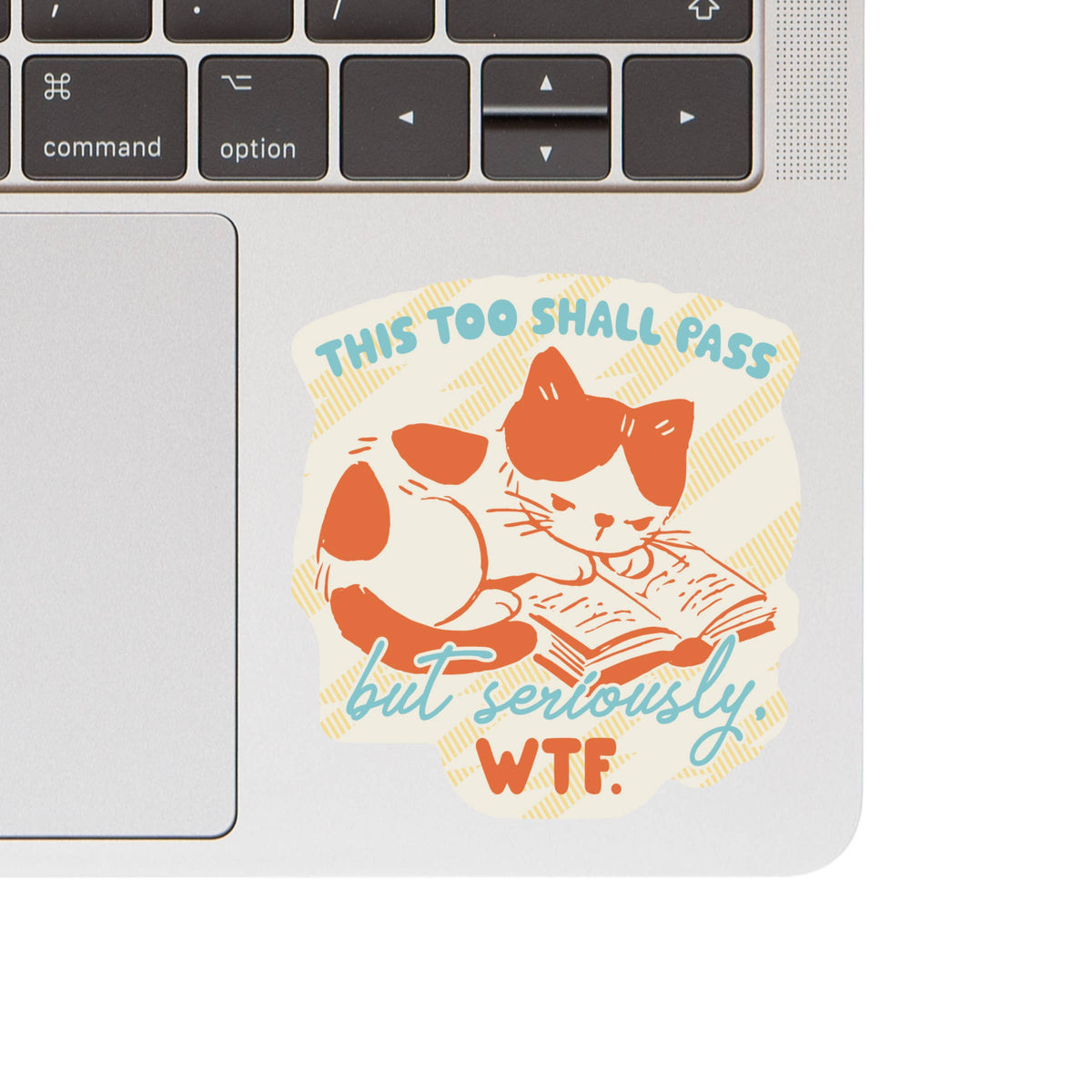 Seriously WTF Kitty Cat High Quality Vinyl Sticker