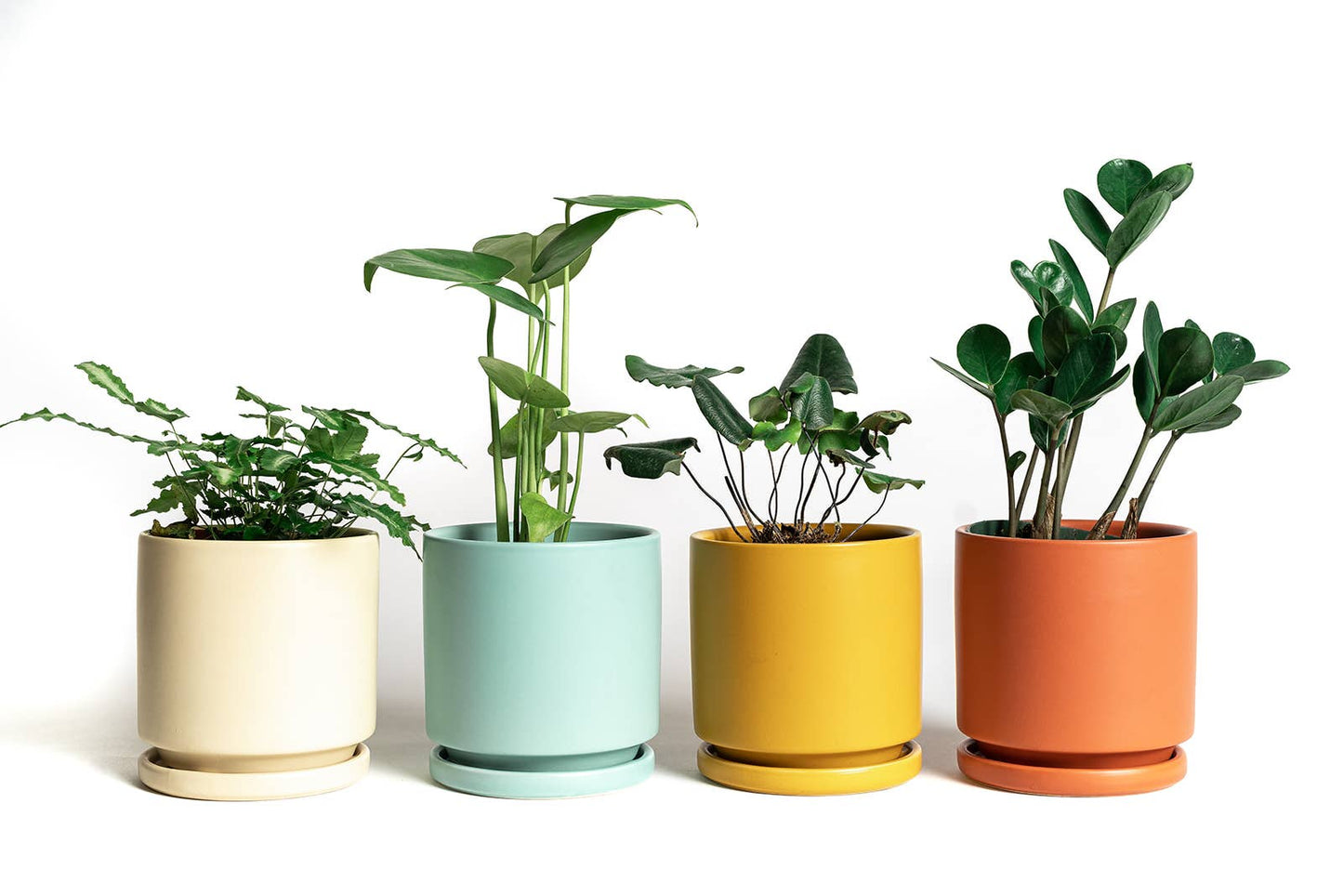 10.5" Gemstone Cylinder Pots with Water Saucers