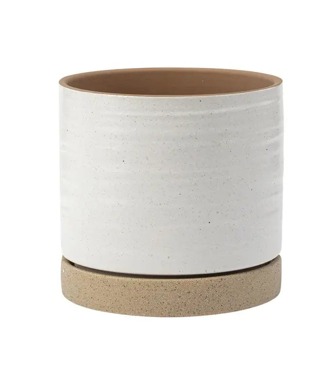 6" White/Beige Planter with Saucer