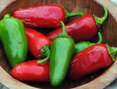 Jalapeno Hot Pepper