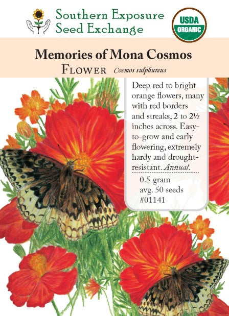 Memories of Mona Cosmos Flower