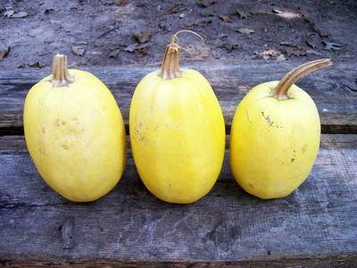 Spaghetti Squash